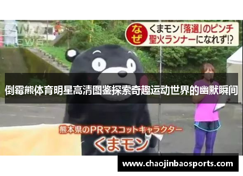 倒霉熊体育明星高清图鉴探索奇趣运动世界的幽默瞬间