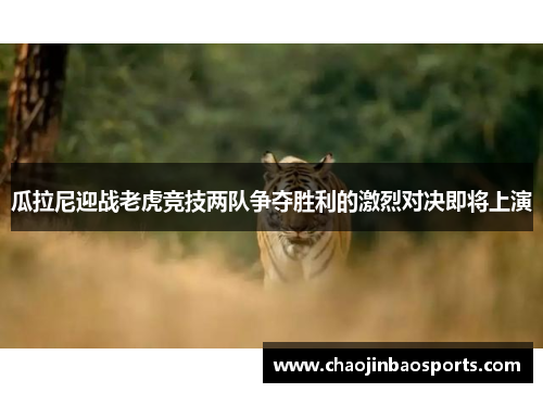 瓜拉尼迎战老虎竞技两队争夺胜利的激烈对决即将上演